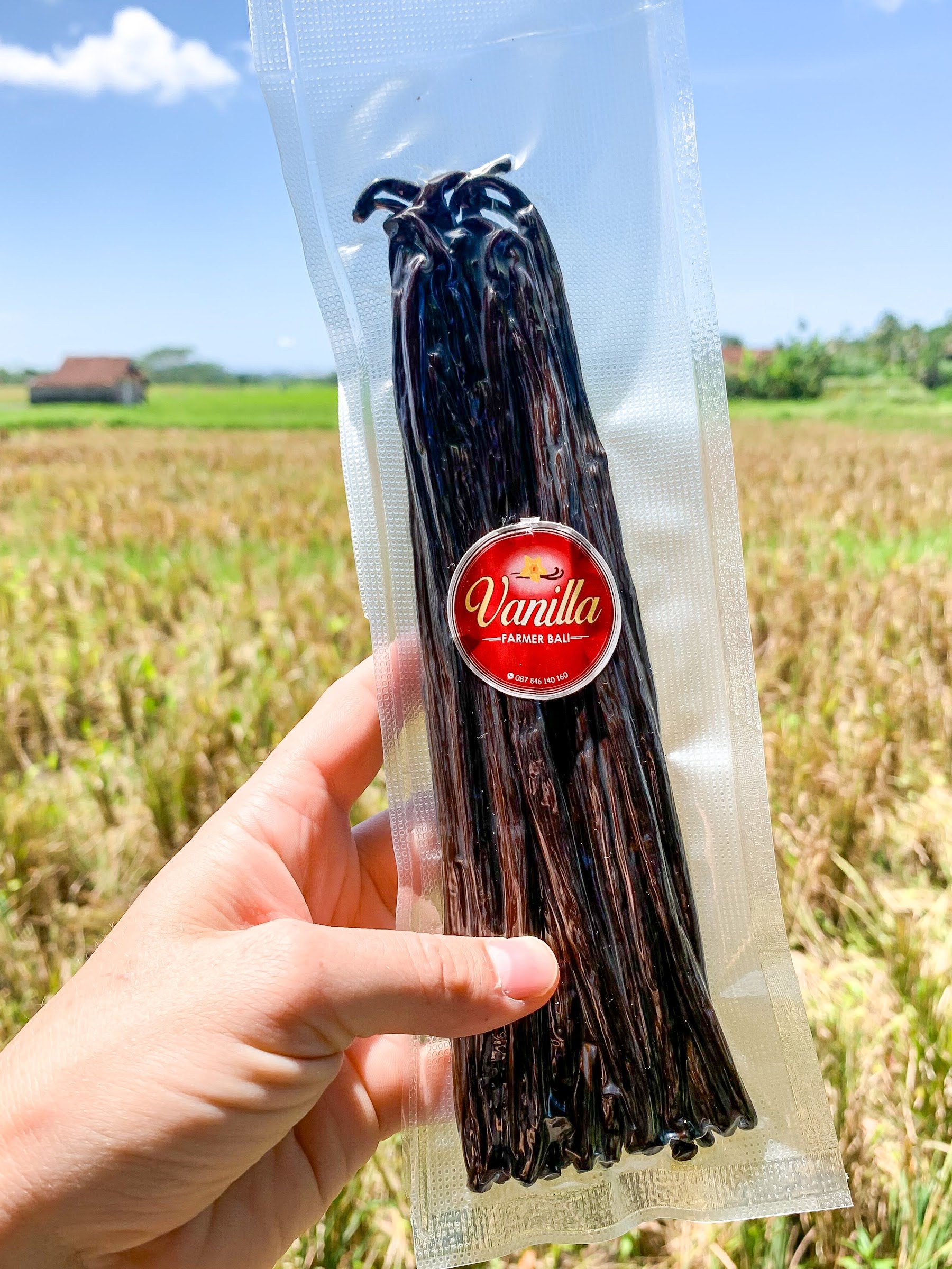 A vacuum bag of Vanilla Farmer Bali beans held up in front of the rice fields